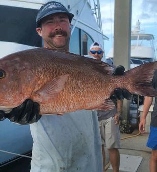 Snapper in Charleston, South Carolina